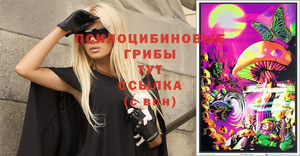 2c-b Абдулино